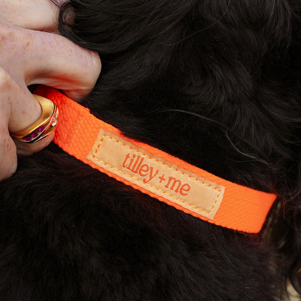 Malibu-Sunset-Sustainable-Hemp-Cotton-Dog-Collar-Orange-4