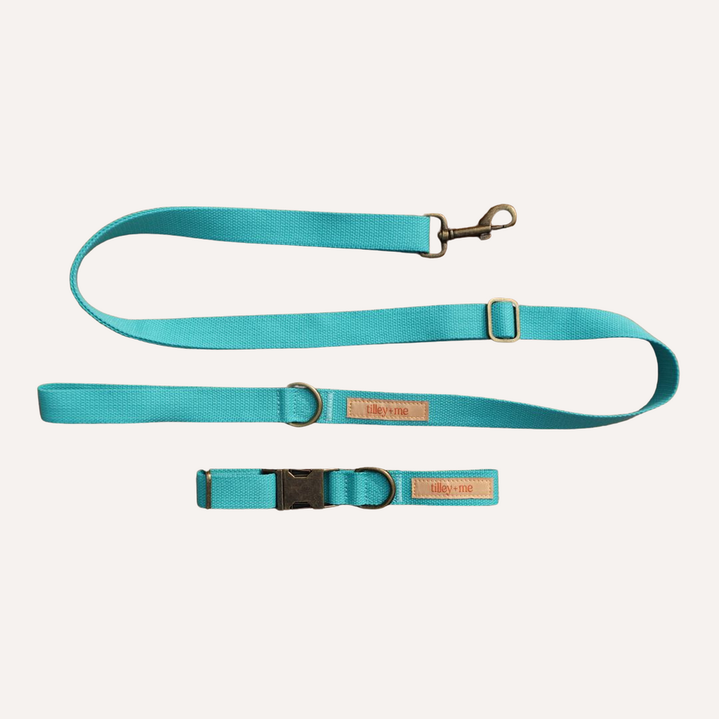 Malibu-Sunset-Sustainable-Hemp-Cotton-Adjustable-Dog-Leash-7