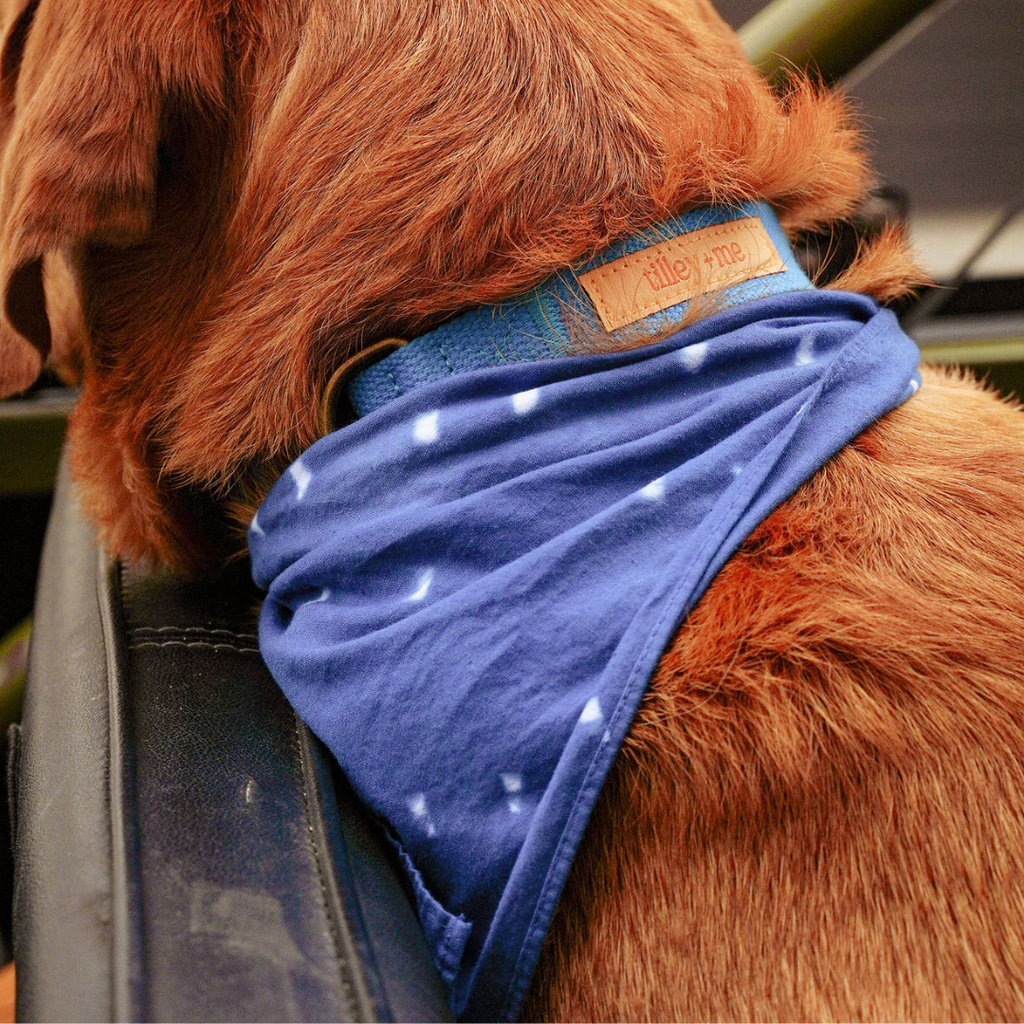 Hand-Dye-Shibori-Bandana-indigo sky 7