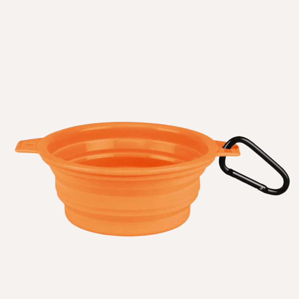 Travel-Collapsible-Pet-Bowl-with-Clip-orange