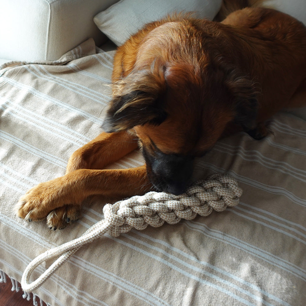 Hemp-Rope-Dog-Tug-Toy-4