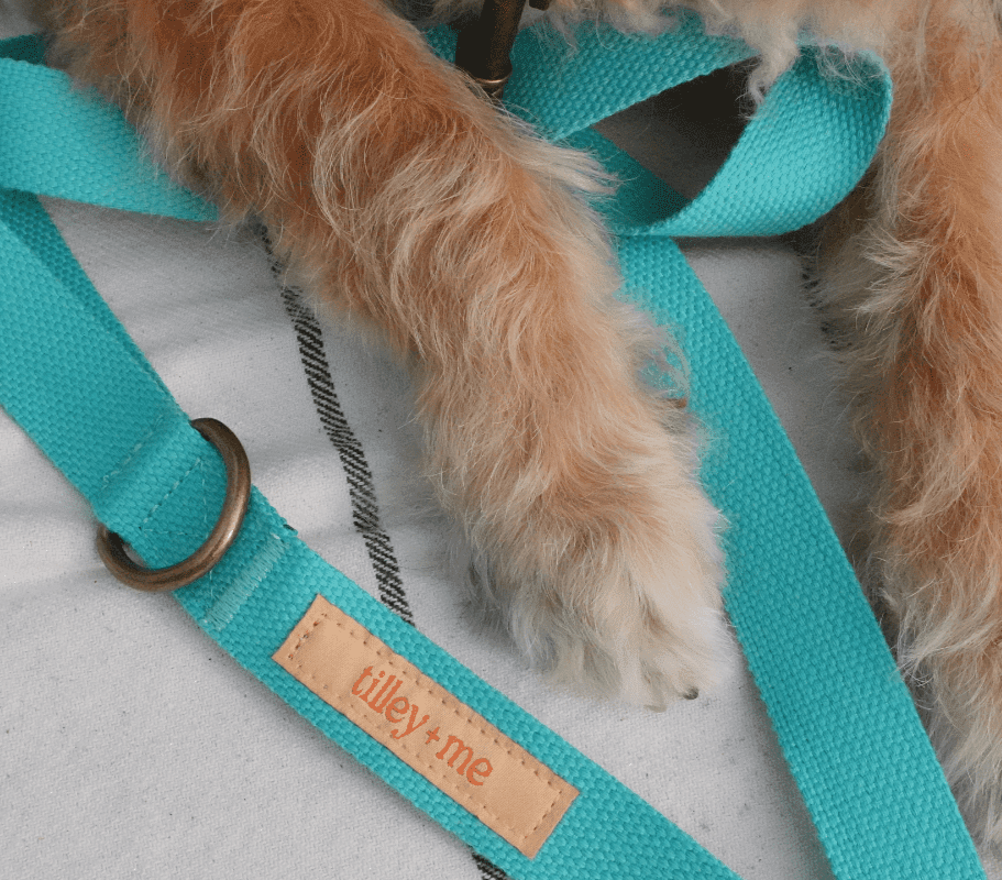 Malibu-Sunset-Sustainable-Hemp-Cotton-Adjustable-Dog-Leash-Collar-Teal-2