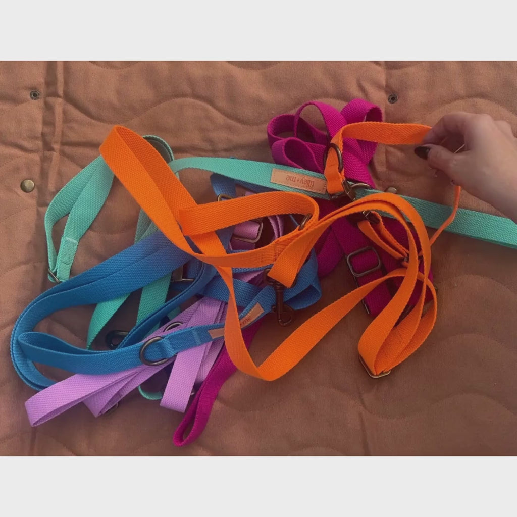 Malibu-Sunset-Sustainable-Hemp-Cotton-Adjustable-Dog-Leash