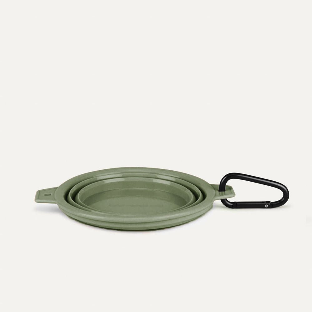 Travel-Collapsible-Pet-Bowl-with-Clip-green 2